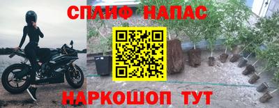 spice Рязань