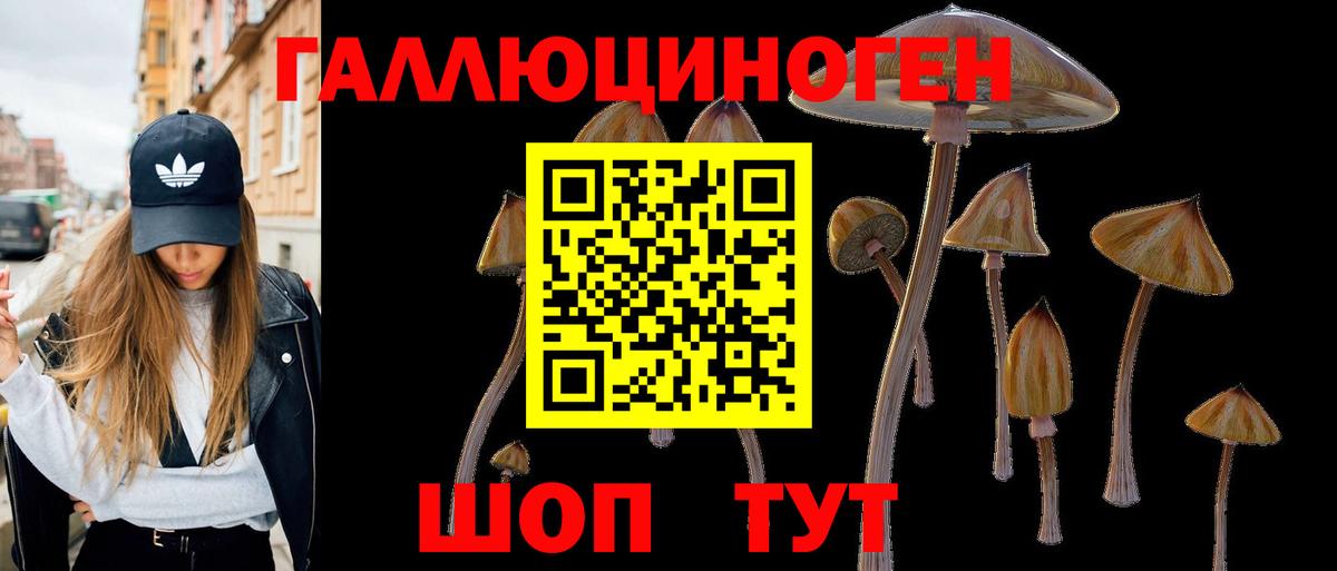 Орск  Галлюциногенные грибы ЛСД  Вход с VPN 